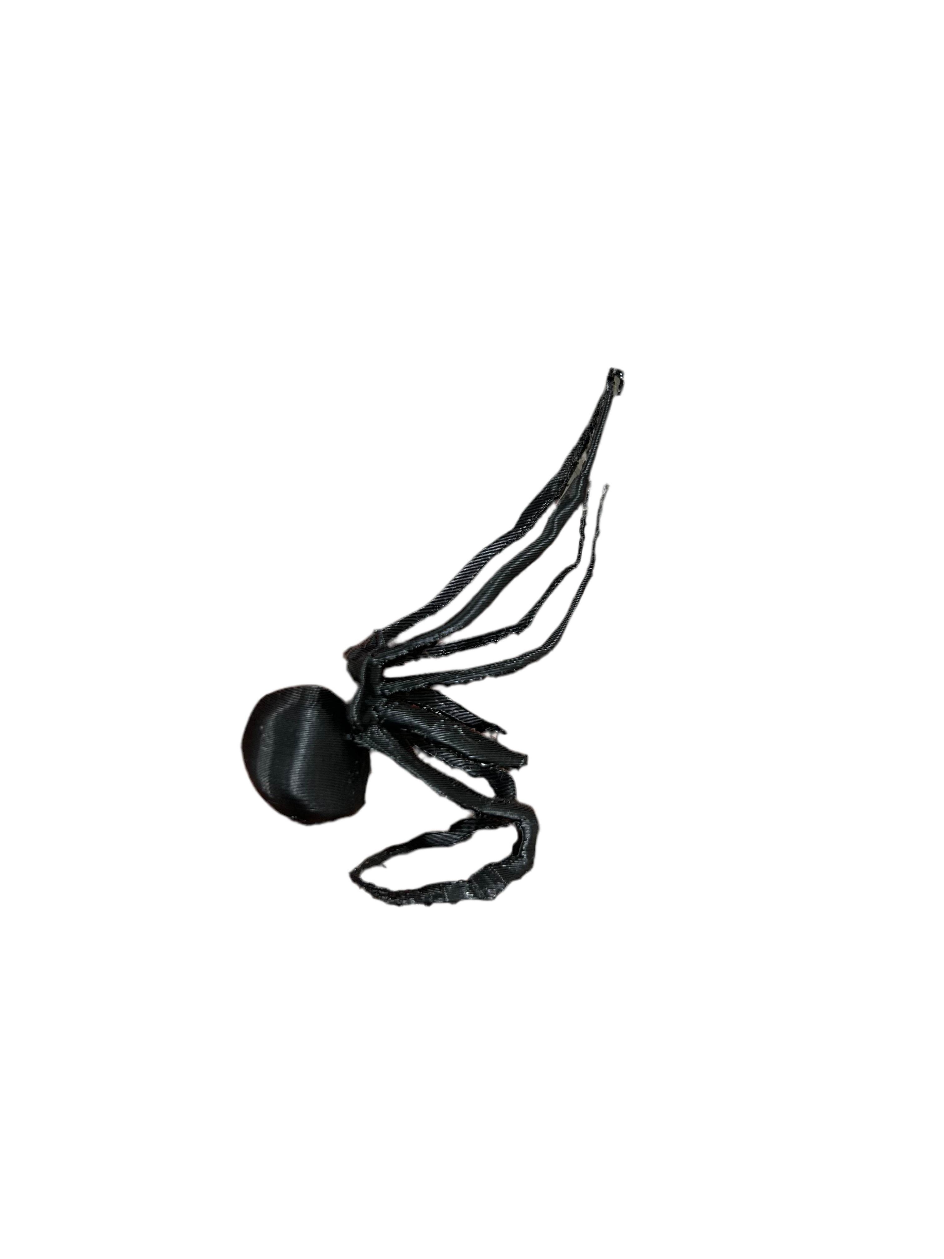 spider lighter holder